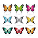 Various Colorful Butterflies - GraphicRiver Item for Sale