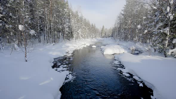 Calm River between snowy trees, sunny, winter day, in Lapland - static view