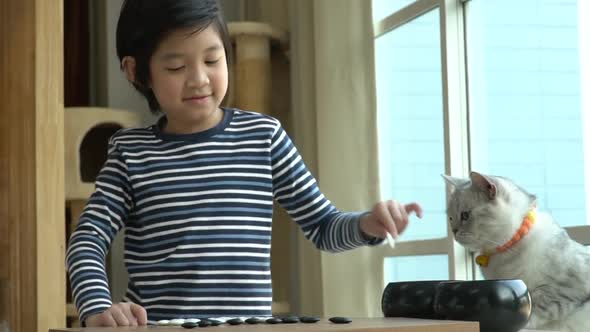 Cute Asian Child Playing Chinese Go Game With Cute Cat