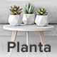 Planta - Business - ThemeForest Item for Sale