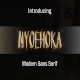 NYOEHOKA Modern Sans Serif - GraphicRiver Item for Sale