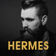Hermes - Multi-Purpose Premium Responsive Magento 2 & 1 / Adobe Commerce Theme - ThemeForest Item for Sale