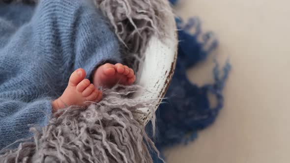 Closeup Portrait of Newborn Baby Feet