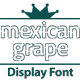 Mexican Grape Display Font - GraphicRiver Item for Sale