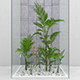 Flowers and plants set - 3DOcean Item for Sale