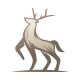 Dashing Deer Logo Template - GraphicRiver Item for Sale