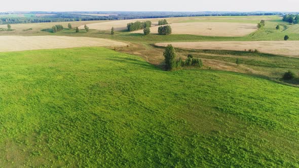 Flying Over a Green Grassy Field in the Spring Day. Woods in the Background