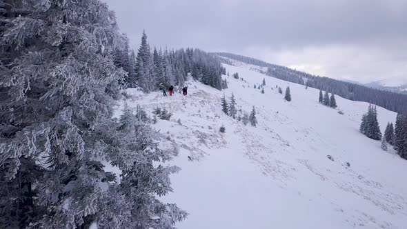 Flying Over a Group of Tourists in the Winter Mountains