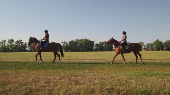 Two Horsewomen Are Riding Horses Along a Grassland