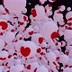 Romantic and love hearts are drawn on the animated balls that fill the screen Isolated by the Alpha - VideoHive Item for Sale