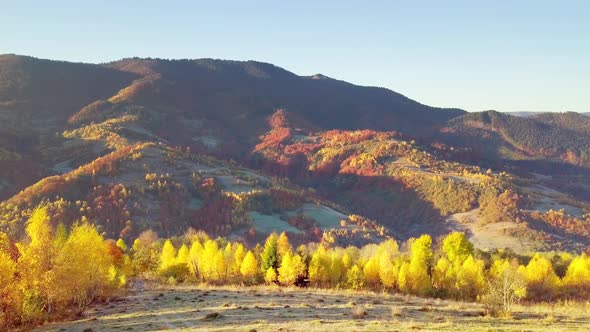 The Mountain Forest on the Background of the Sunset