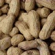 Peanuts, Nuts - VideoHive Item for Sale