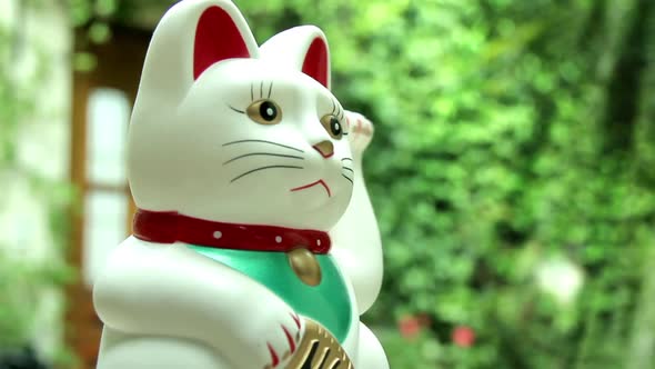 White Lucky Cat.