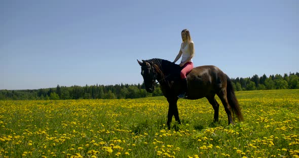 Young Female Rider Is Sitting on Horseback in Summer Sunny Day, Animal Is on Blooming Lawn