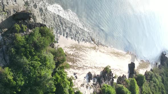 Zanzibar Tanzania  Ocean Shore Covered with Green Thickets Vertical Video Aerial View