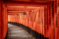 Fushima Tori Gate, Kyoto - PhotoDune Item for Sale