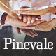 Pinevale | Addiction Recovery and Rehabilitation Center WordPress Theme - ThemeForest Item for Sale