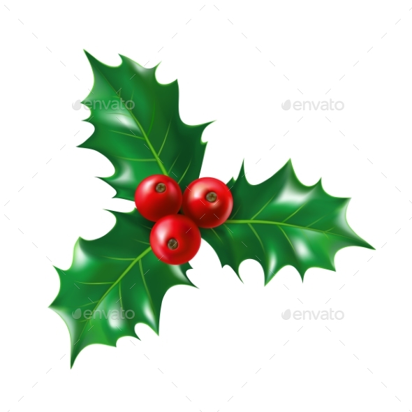 Isolated Holly Berry with Leaves