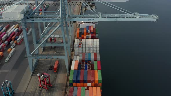 Multicolored Containers Steady Tower Crane Forklifts and the Calm Sea