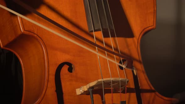 Male Man Cellist Playing the Cello on Stage in the Dark. Kyiv. Ukraine