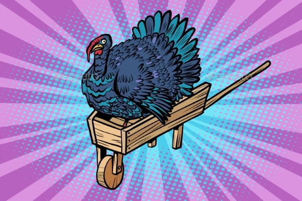 Turkey on a Wooden Farm Wheelbarrow