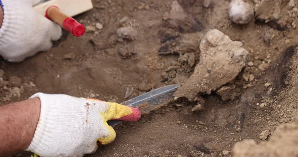 Archaeological Excavations Work of the Search Team at the Site of a Mass Shooting of People