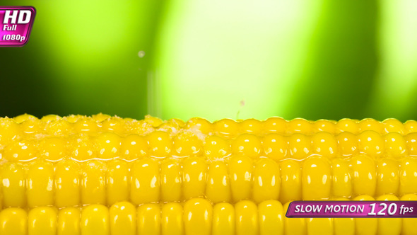 Corn With Cream Butter And Salt