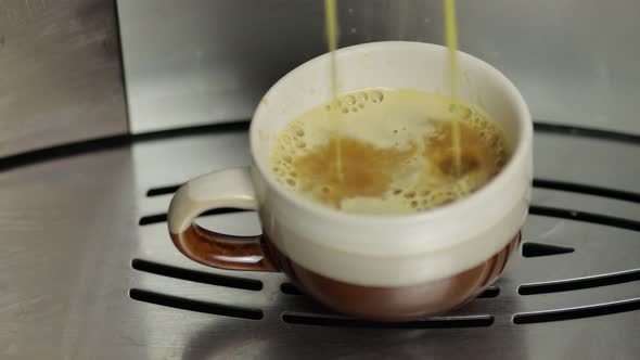 Espresso Shot Pouring Out From Coffee Machine in Small White and Brown Cup. Close Up Footage