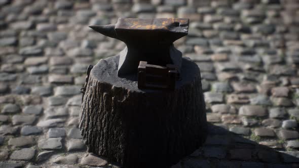 Old Anvil Attached To Stump