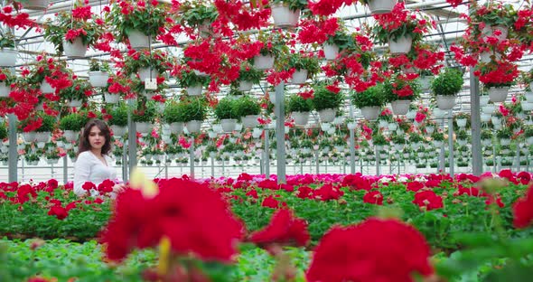 Brunette Woman Walking and Choosing Red Flowerpots