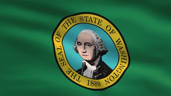 Washington State Flag Background 4K