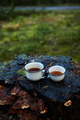 Two white cups of hot tea on the old stump - PhotoDune Item for Sale
