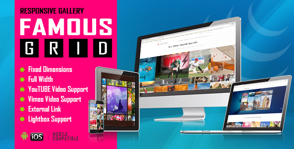 Famous - Responsive Image And Video Grid Gallery