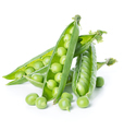 Fresh green peas pods isolated on white background - PhotoDune Item for Sale