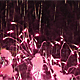 Fireworks Flight - VideoHive Item for Sale