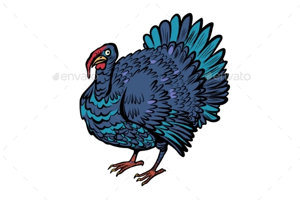 Turkey Bird Thanksgiving Day Holiday