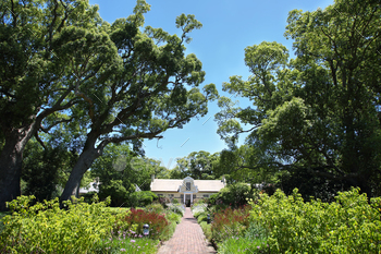ful garden and residential homestead, dating back to the 1700’s on december 5, 2014 in Vergelegen state in Somerset West, Western Cape, South Africa.