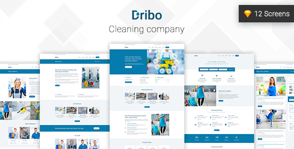 Dribo — Cleaning company Sketch Template