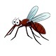 Mosquito