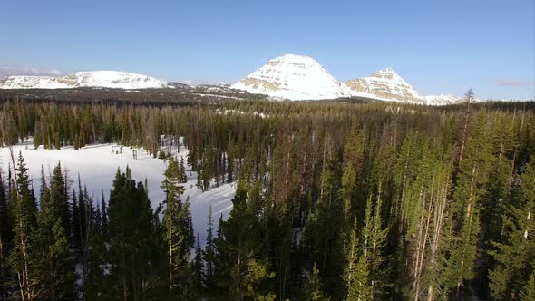 Flying view over a frozen forest in the mountains