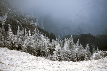 s in mountains covered with fresh snow – Magic holiday background