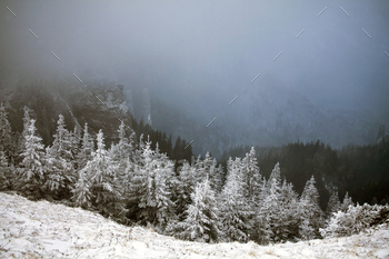 s in mountains covered with fresh snow – Magic holiday background