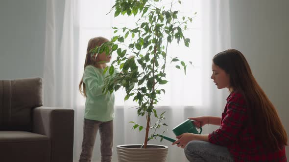 Young Nanny Waters Ficus and Little Girl Sprays Exotic Tree