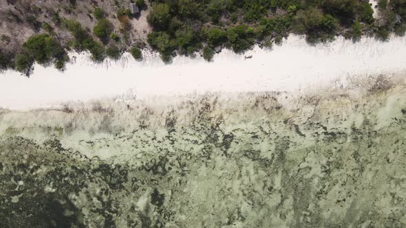 Ocean at Low Tide Near the Coast of Zanzibar Island Tanzania Slow Motion