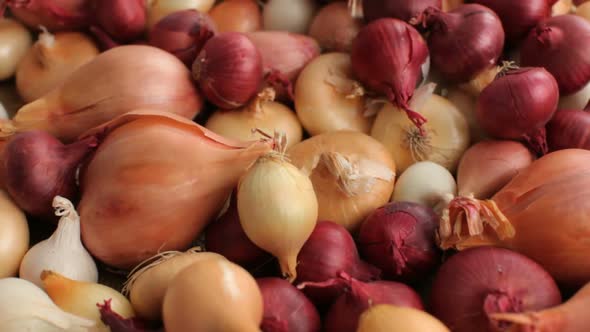 Fly over background of onions and shallots