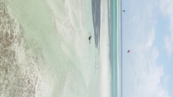 Zanzibar Tanzania  Vertical Video of Low Tide in the Ocean Near the Coast Slow Motion