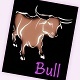 Bull Mooing