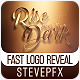 Rise From the Dark Gold and Silver Logo - VideoHive Item for Sale