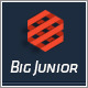 Big Junior - Multi-Purpose Responsive Theme - ThemeForest Item for Sale