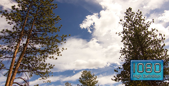 Mountain Cloud Time Lapse With Lodgepole Pine